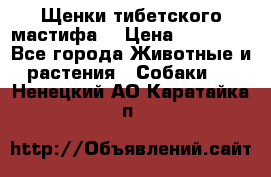 Щенки тибетского мастифа. › Цена ­ 30 000 - Все города Животные и растения » Собаки   . Ненецкий АО,Каратайка п.